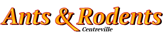 Centreville Ant Exterminator & Rodent Control Company Logo